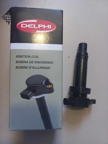DELPHI GN1060112B1 Катушка зажигания в наличии Тернополь