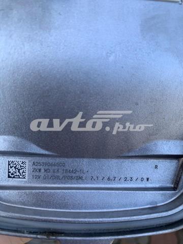 A2539066500 MERCEDES купить в Ужгород