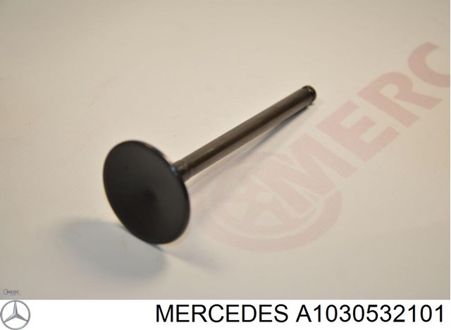 A1030532101 MERCEDES Впускной клапан купить в Николаев