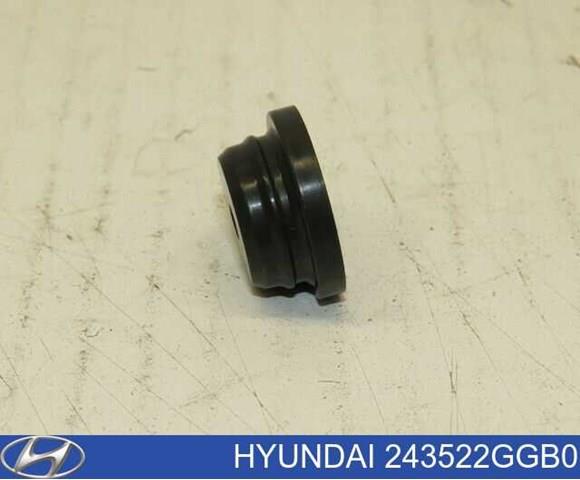 243522GGB0 Заглушка днища кузова купить Хмельницкий