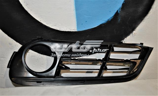 BMW 51117331730 Заглушка (решетка) противотуманных фар бампера переднего правая в наличии Харьков
