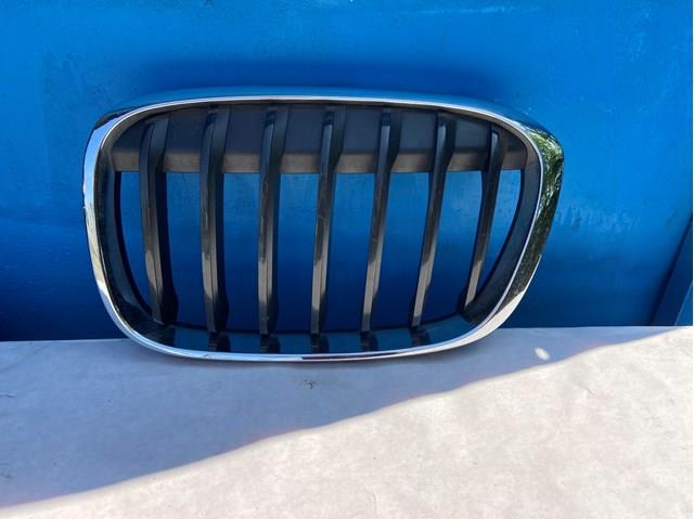 Решетка радиатора левая 51117383365 BMW