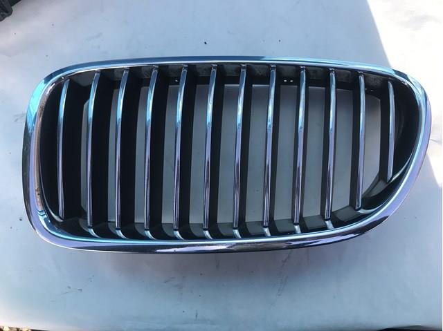 Решетка радиатора левая 51137203649 BMW