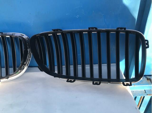 51137203649 BMW Решетка радиатора левая купить в Житомир