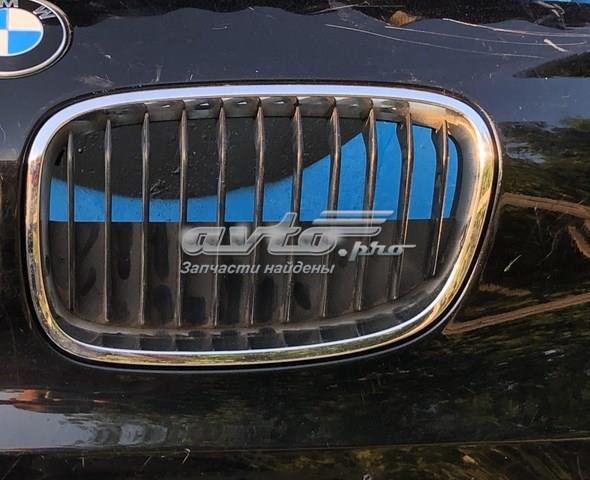 Решетка радиатора левая 51137239021 BMW