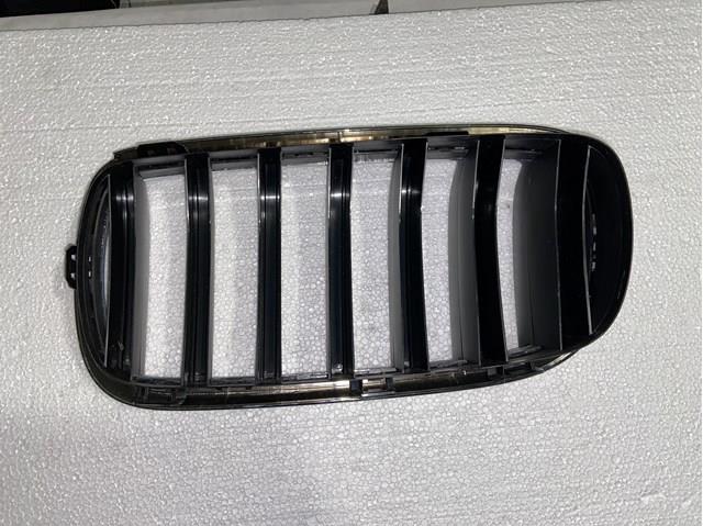 BMW 51137294486 Решетка радиатора правая в наличии Черкассы