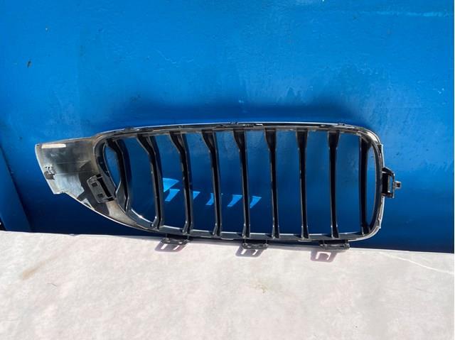 BMW 51137294819 Решетка радиатора в наличии Львов
