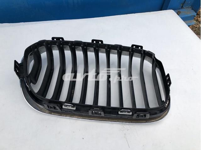 BMW 51137371747 Решетка радиатора левая в наличии Хмельницкий