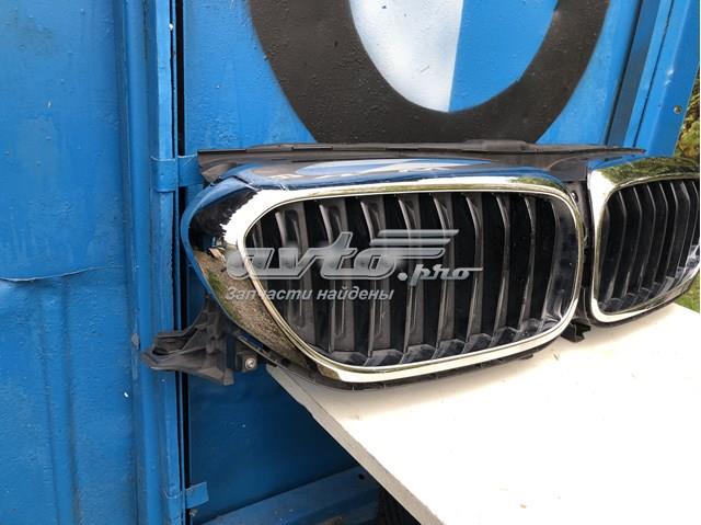 BMW 51137390866 Решетка радиатора правая в наличии Павлоград