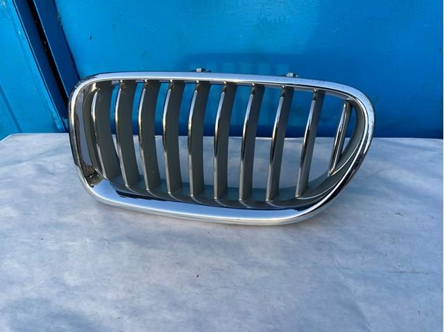 Решетка 51137412325 BMW