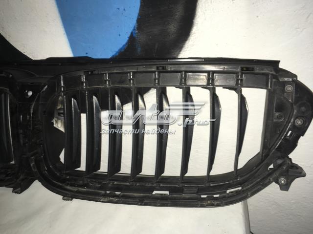 BMW 51137474368 Решетка радиатора в наличии Одесса