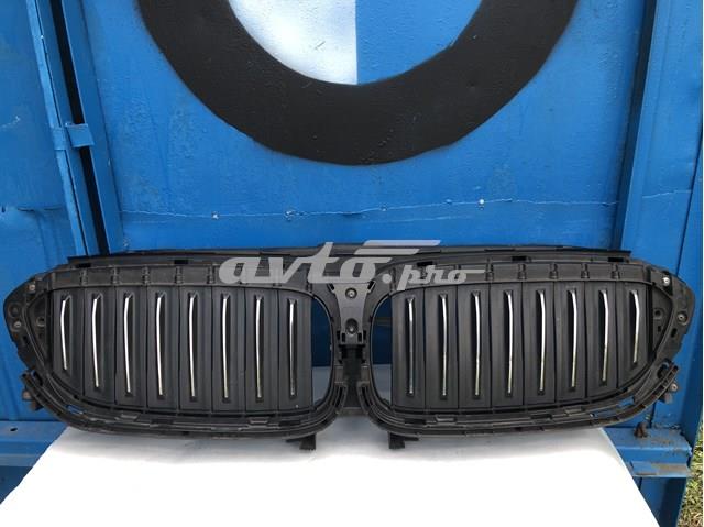 Облицовка радиатора BMW 5