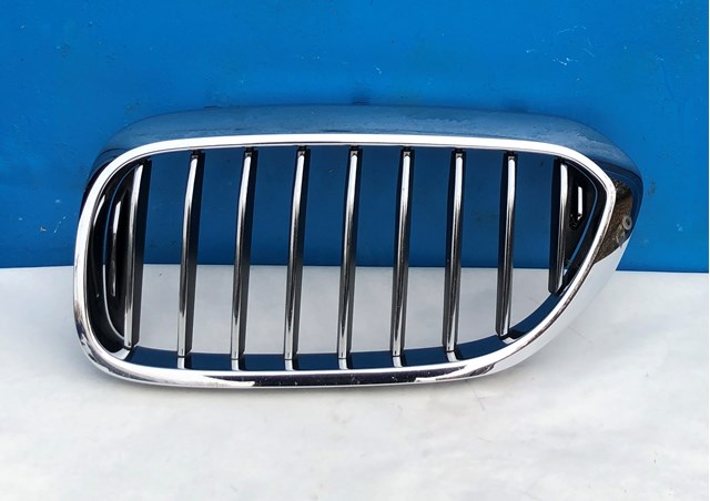 51138070469 BMW Решетка радиатора левая купить в Черновцы