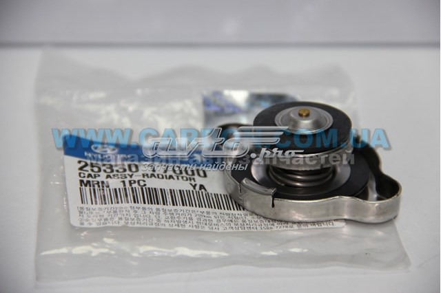 2533017000 hyundai kia