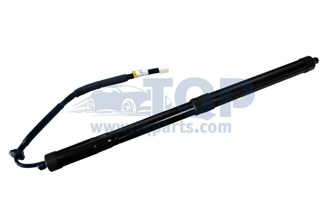 Амортизатор задней двери TQ31081 TQPARTS