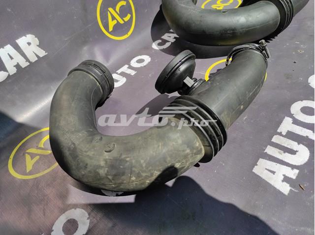 8200143788 RENAULT Патрубок воздушный, вход в турбину (наддув) купить в Тернополь