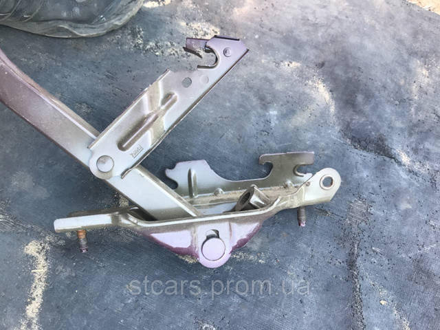 DS7Z5442700A FORD Петля крышки багажника купить в Львов