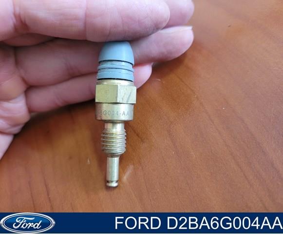 FORD D2BA6G004AA в наличии Хмельницкий