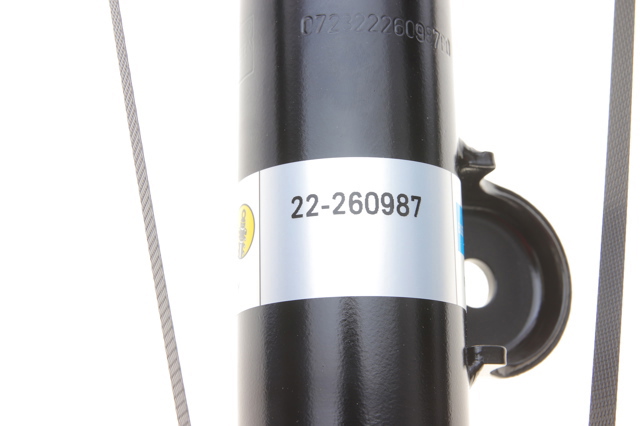 22260987 BILSTEIN Амортизатор задний левый купить в Украина