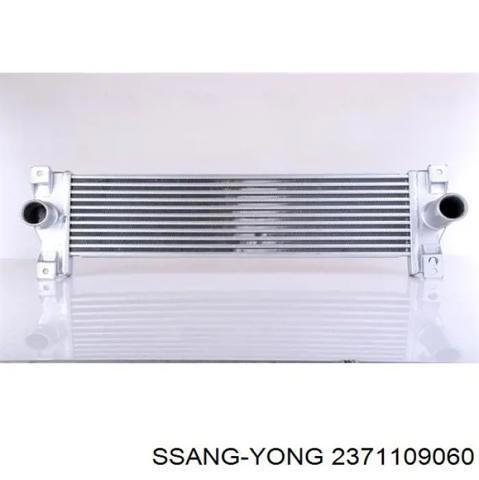 Охладитель наддувочного воздуха 2371109060 SSANG YONG