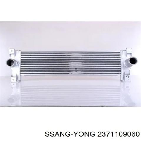 2371109060 SSANG YONG Радиатор интеркуллера купить в Винница
