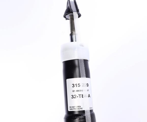 315229 SACHS Амортизатор передний купить в Чернигов