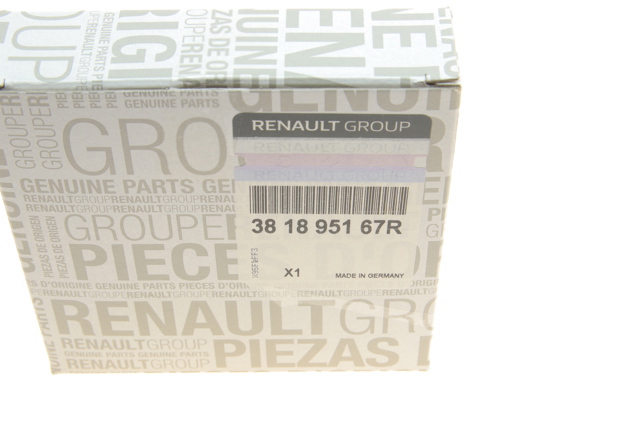 RENAULT 381895167R Сальник хвостовика в наличии Тернополь