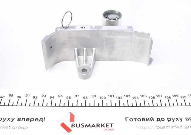 INA 530034530 Комплект ГРМ в наличии Украина