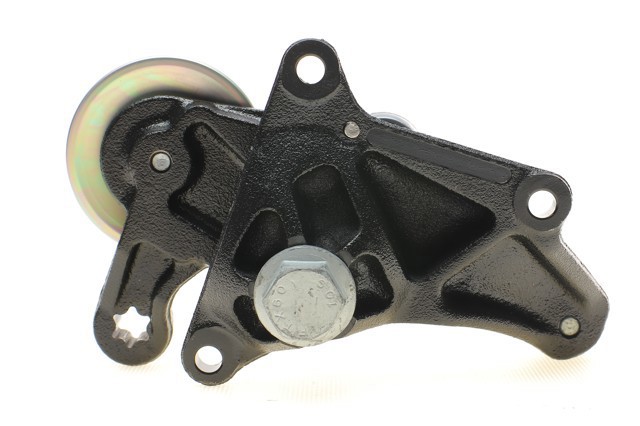 Роликовий модуль натяжителя ремня 534004110 INA