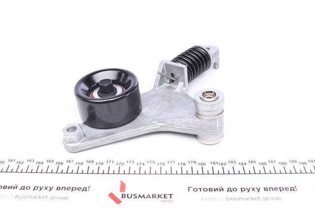 Натяжитель приводного ремня 534018210 INA