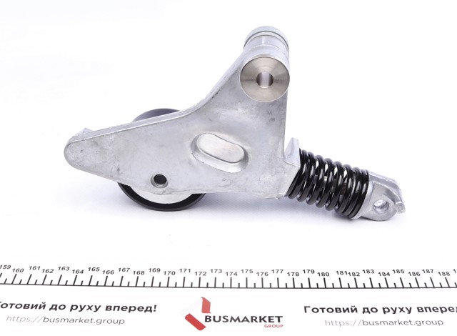 INA 534018210 Натяжитель приводного ремня в наличии Украина