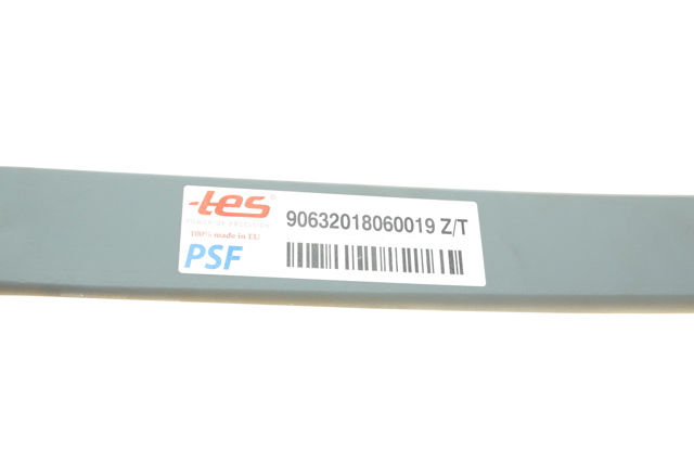 90632018060019ZT TES Рессора задняя купить в Чернигов