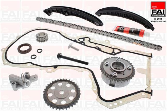 FAI TCK202L2VVT Цепь ГРМ верхняя, комплект в наличии Ирпень