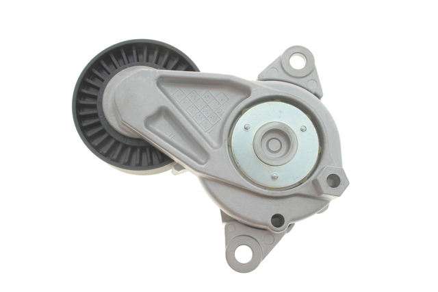SKF VKM61099 Натяжитель приводного ремня в наличии Чернигов