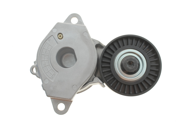 SKF VKM61099 Натяжитель приводного ремня в наличии Сумы