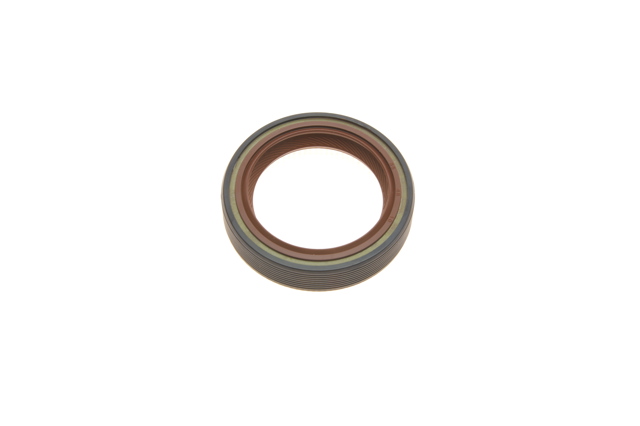 SKF VKML81002 Цепь ГРМ, комплект в наличии Черкассы
