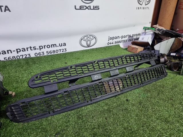 6008159 Tesla Model Решетка бампера переднего купить в Полтава