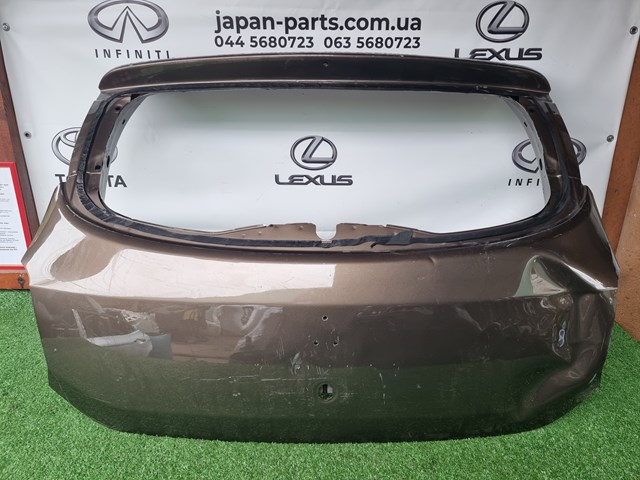 Дверь задняя багажная 901003145R RENAULT