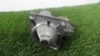 Motor de arranco 0001107066 FIAT