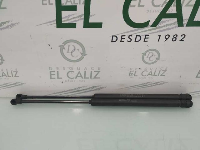 Amortecedor de tampa de porta-malas (de 3ª/5ª porta traseira) 0050500057 Fiat/Alfa/Lancia