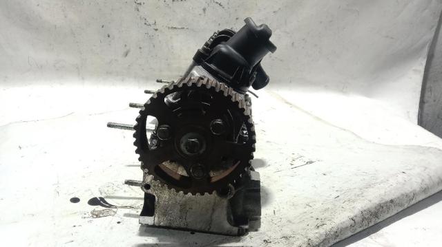 Cabeça de motor (CBC) Citroen Jumpy 1 BS, BT, BY, BZ