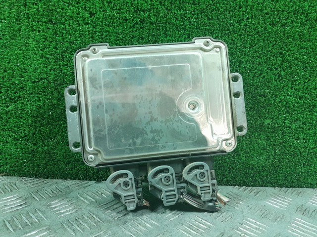 0281011529 Nissan/Infiniti