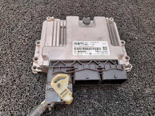 FORD 0281017831 в наличии Тернополь