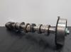 Árvore distribuidora de motor 038109101R VAG