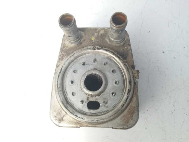 Resfriador de óleo do motor para Volkswagen Passat (3C2) (2005-2010) 2.0 TDI 038117021E
