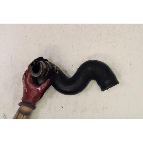 Mangueira (cano derivado) inferior de intercooler 038131111 VAG