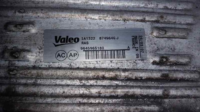 0384G5 Peugeot/Citroen