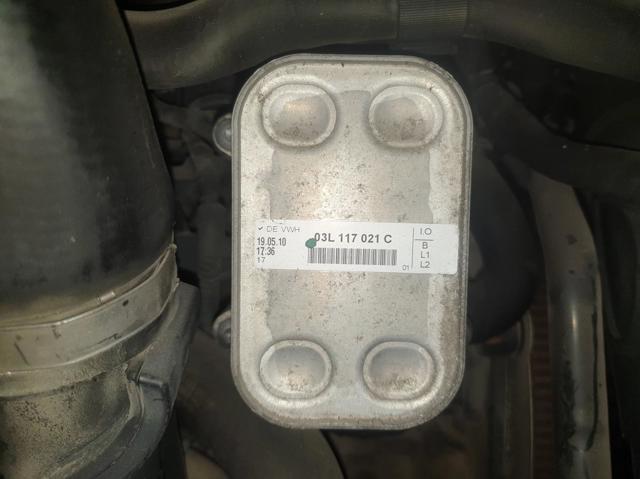 Enfriador aceite motor para seat altea (5p1) (2010-2011) 03L117021C