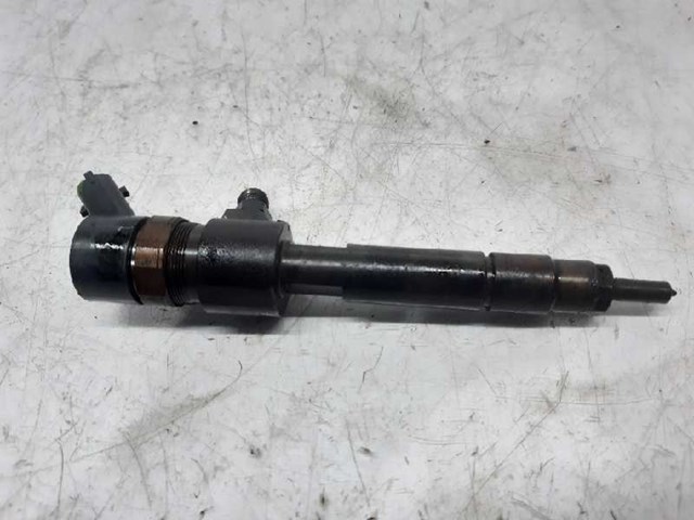 Injector 0445110165