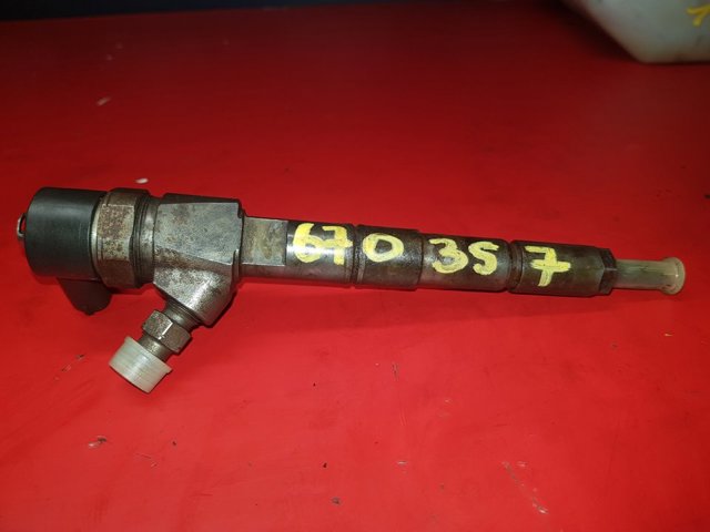 Injector 0445110243